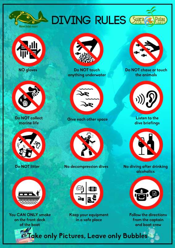 dive and snorkel rules